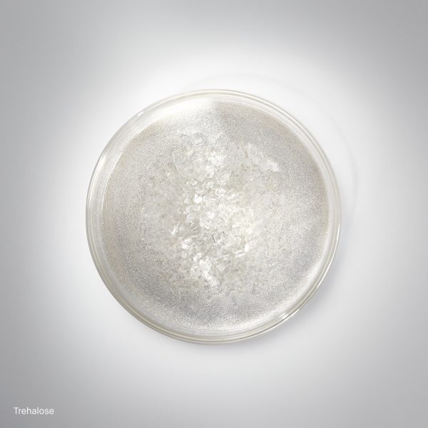 bb_prod_12761_1x1_1-1.jpg bb_prod_12761_1x1_1-1.jpg