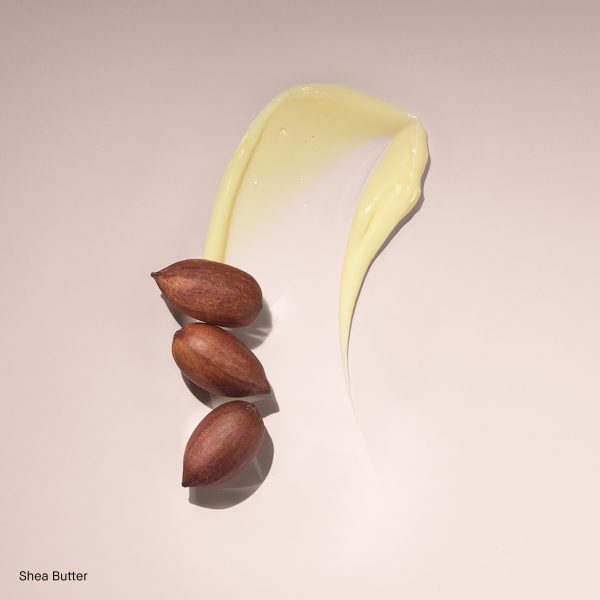 bb_prod_55025_1x1_0-1.jpg bb_prod_55025_1x1_0-1.jpg