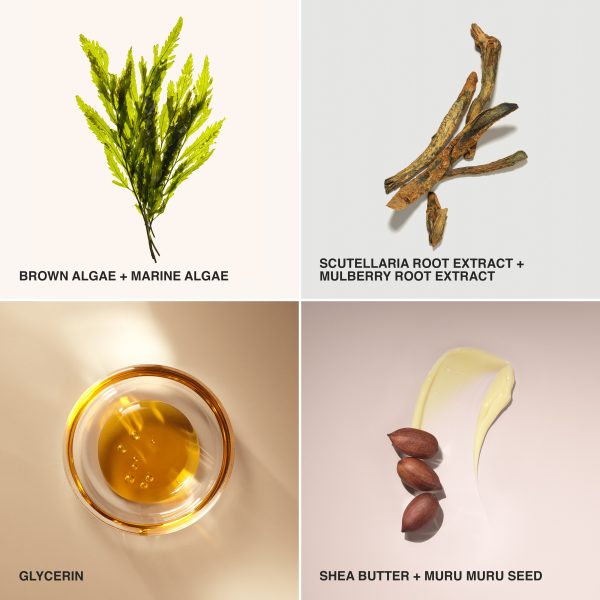 bb_prod_93884_1x1_1-1.jpg bb_prod_93884_1x1_1-1.jpg