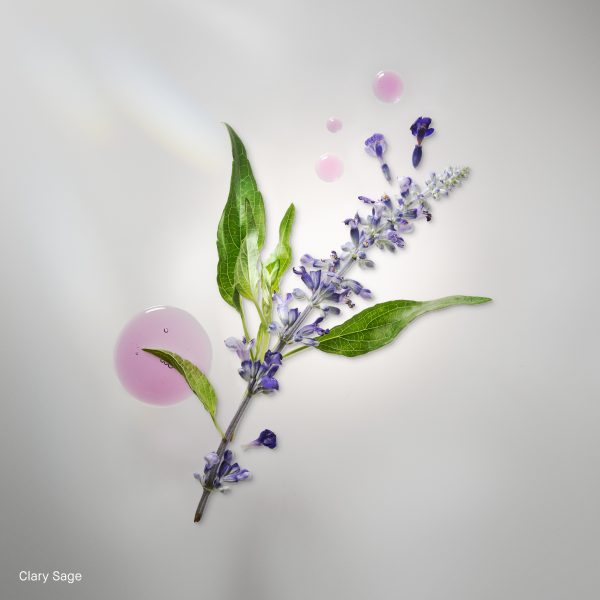 bb_prod_93885_1x1_1.jpg bb_prod_93885_1x1_1.jpg