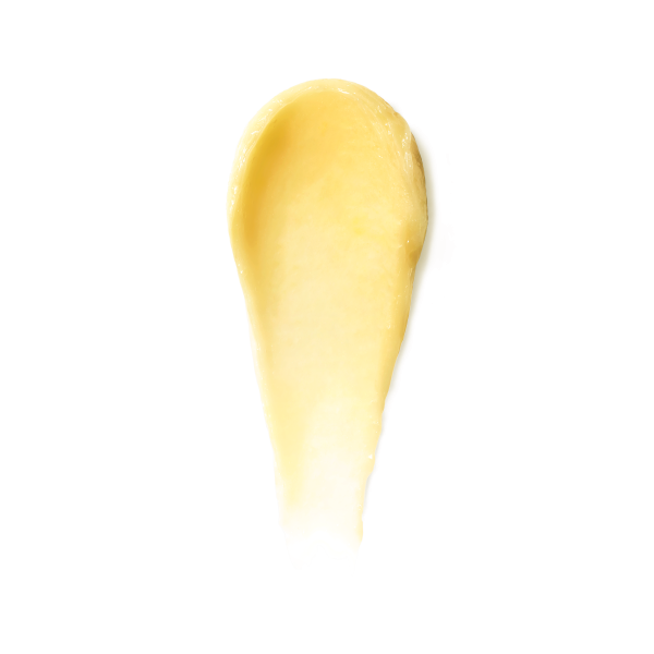 bb_sku_ERAN01_1x1_1-1.png bb_sku_ERAN01_1x1_1-1.png